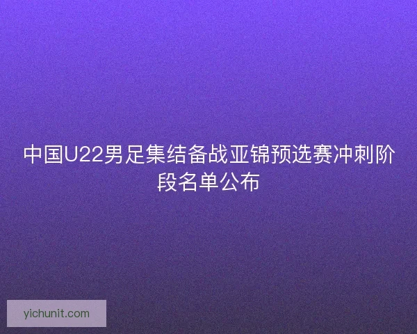 中国U22男足集结备战亚锦预选赛冲刺阶段名单公布